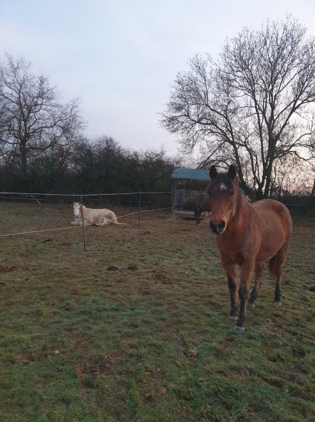 PENSION DE LA FEUILLÉE - photo 3