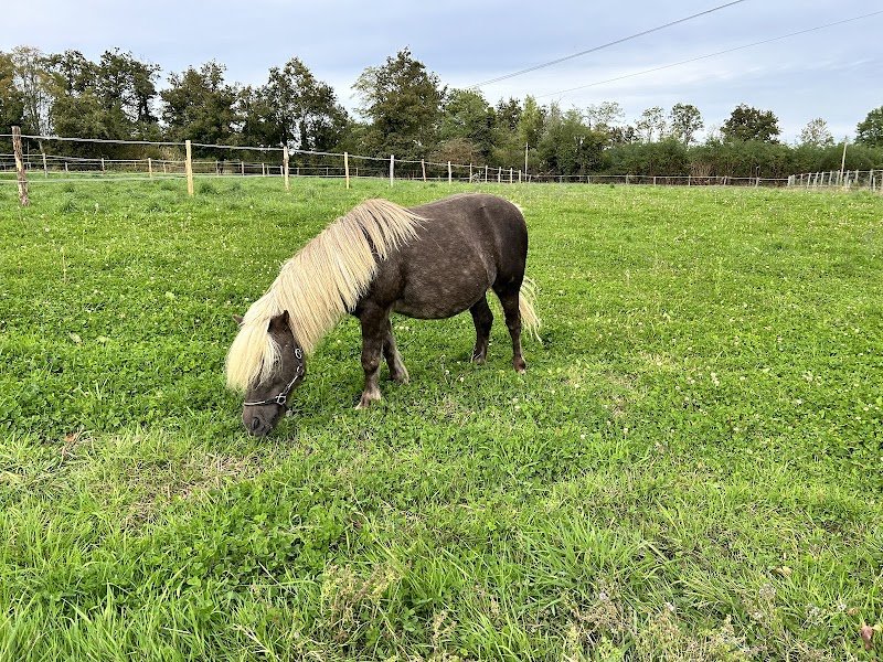 Les Écuries de la Demi-Lune - photo 2