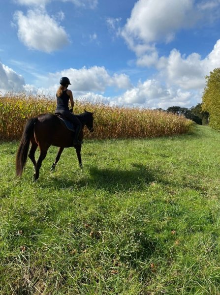 Les Écuries de la Demi-Lune - photo 3