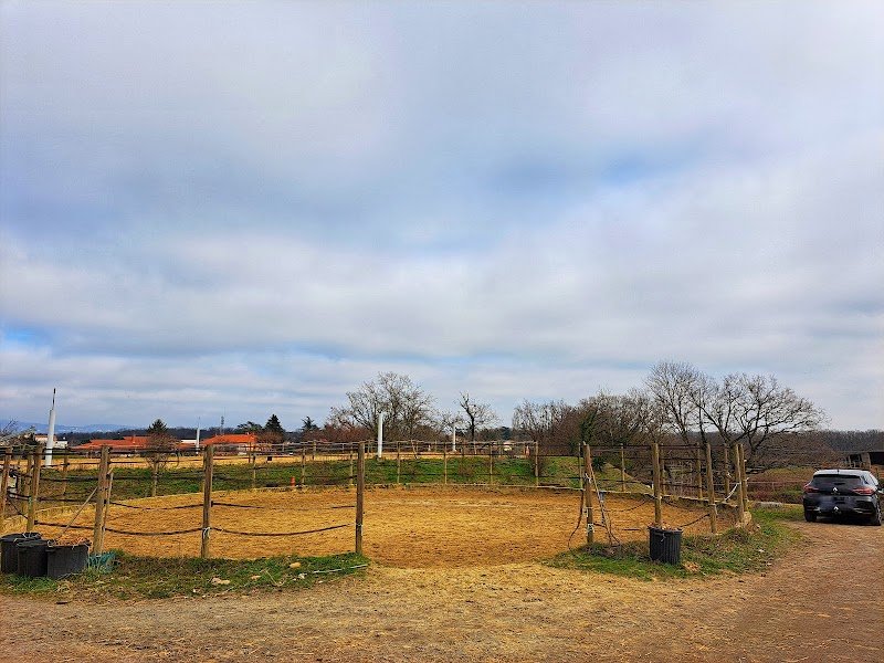 Écurie des Terres D'Or - Marcy l'étoile - photo 1