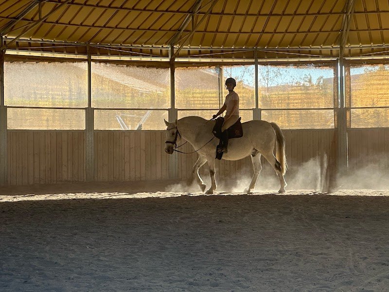Écurie des Terres D'Or - Marcy l'étoile - photo 2