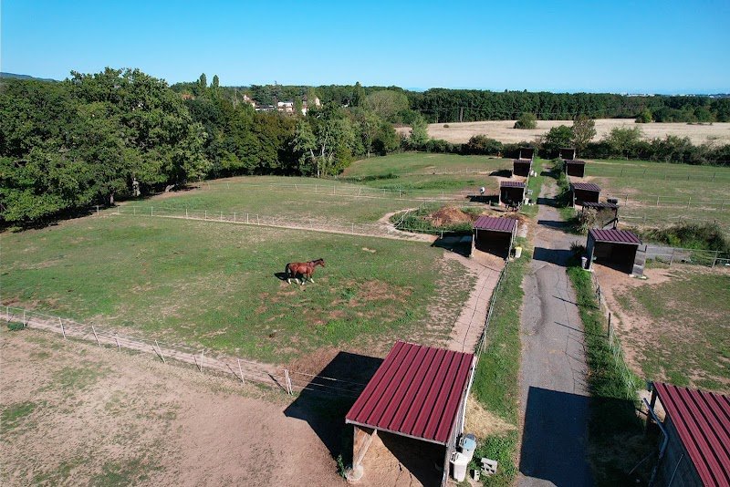 Écurie des Terres D'Or - Marcy l'étoile - photo 3