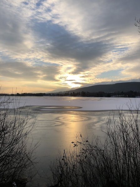 Centre équestre de Divonne-les-Bains - photo 2