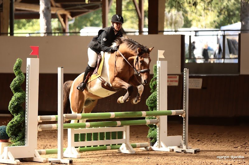 Centre équestre de Divonne-les-Bains - photo 3