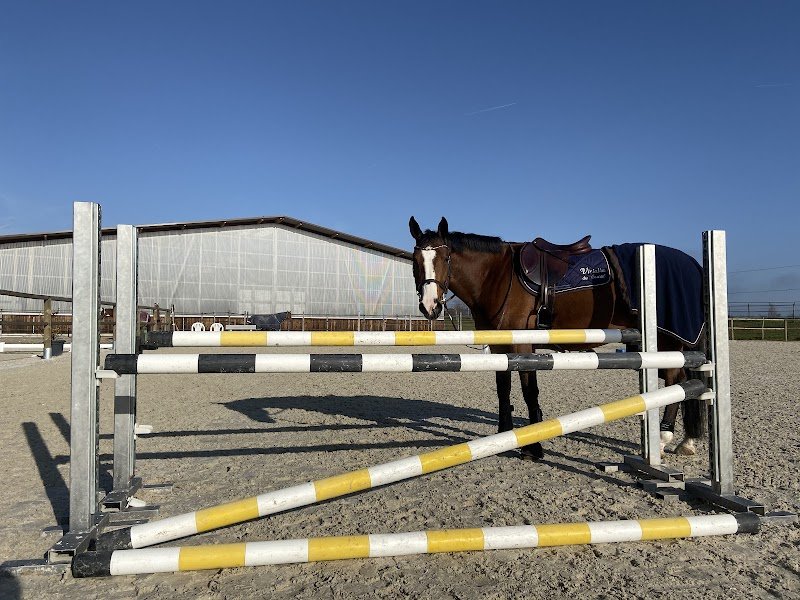 Ecurie de la Ruche - photo 3