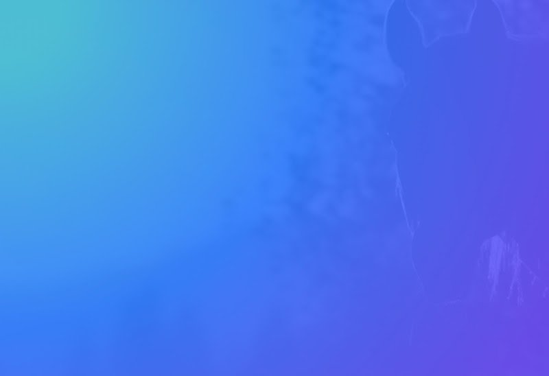 Ecurie Hennequin - photo 1