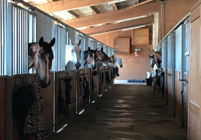 Ecurie Hennequin - photo 2