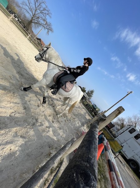Les écuries de Chevilly - photo 2