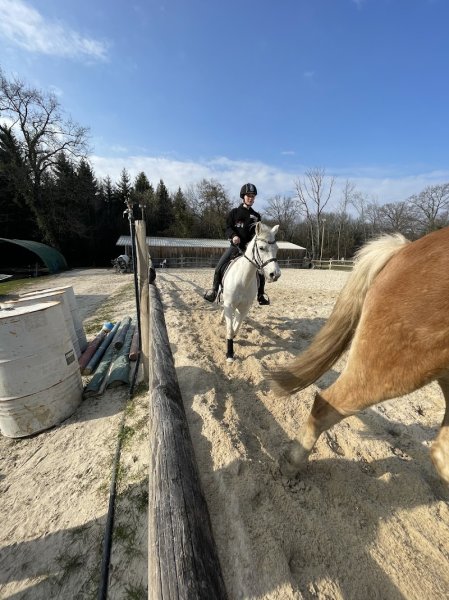 Les écuries de Chevilly - photo 3