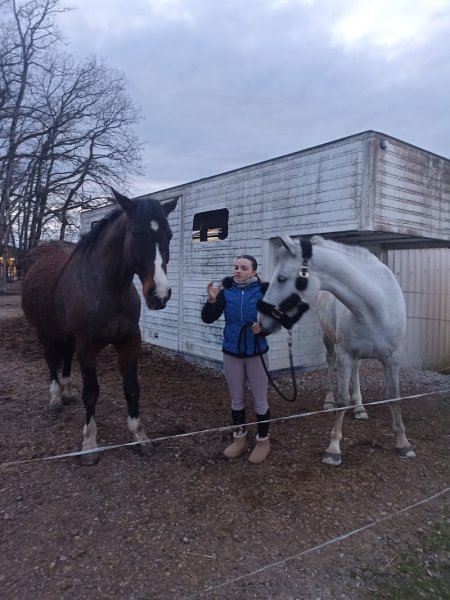 Écurie Saint Amour - photo 1