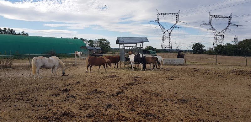 Centre Equestre La Combe du Bion