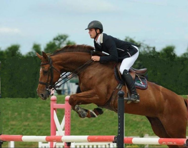 Centre Equestre La Combe du Bion - photo 2