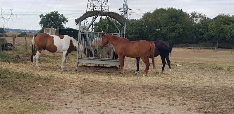 Centre Equestre La Combe du Bion - photo 3