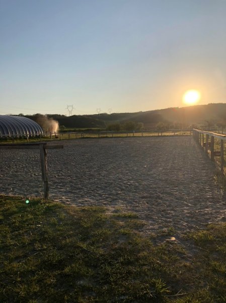 Pension Chevaux Du Palais