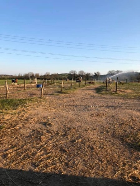 Pension Chevaux Du Palais - photo 3