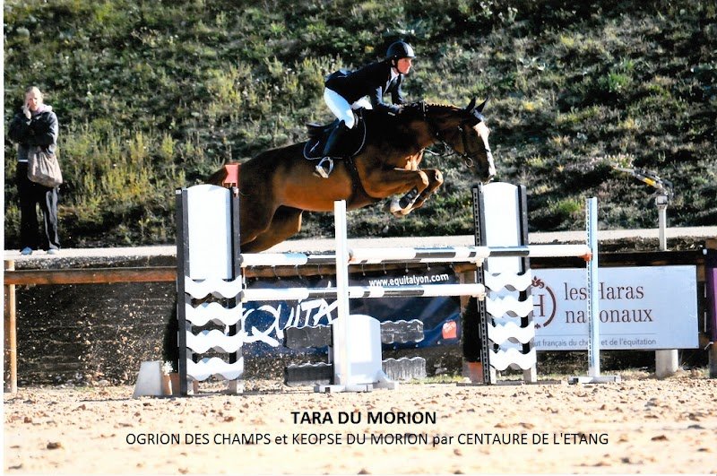 Ecurie Nathalie Barbier - Haras de Rabat