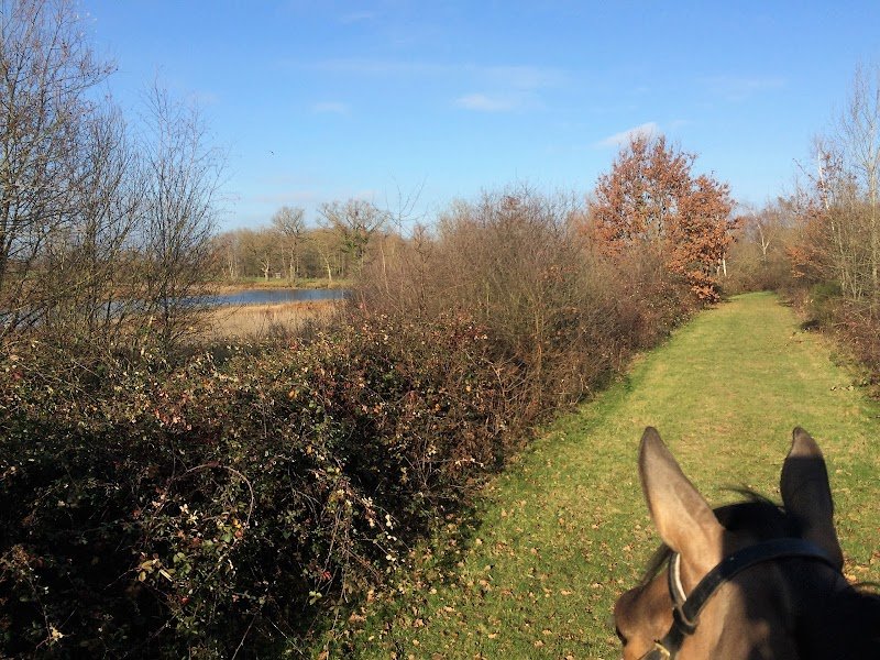 Ecurie Nathalie Barbier - Haras de Rabat - photo 2