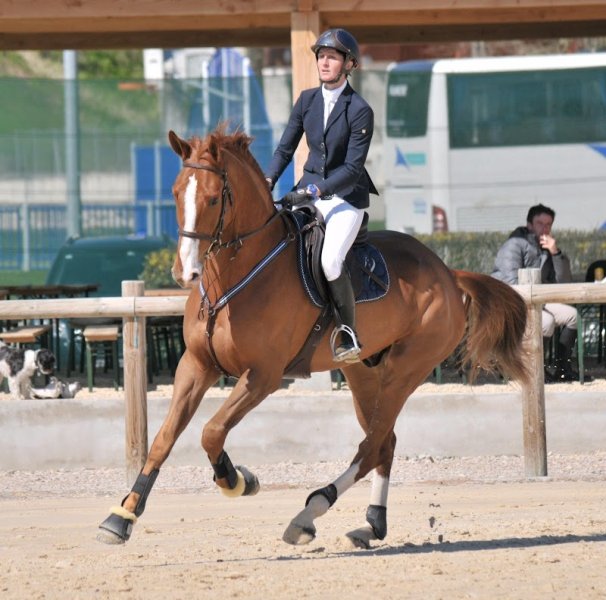 Ecurie Nathalie Barbier - Haras de Rabat - photo 3