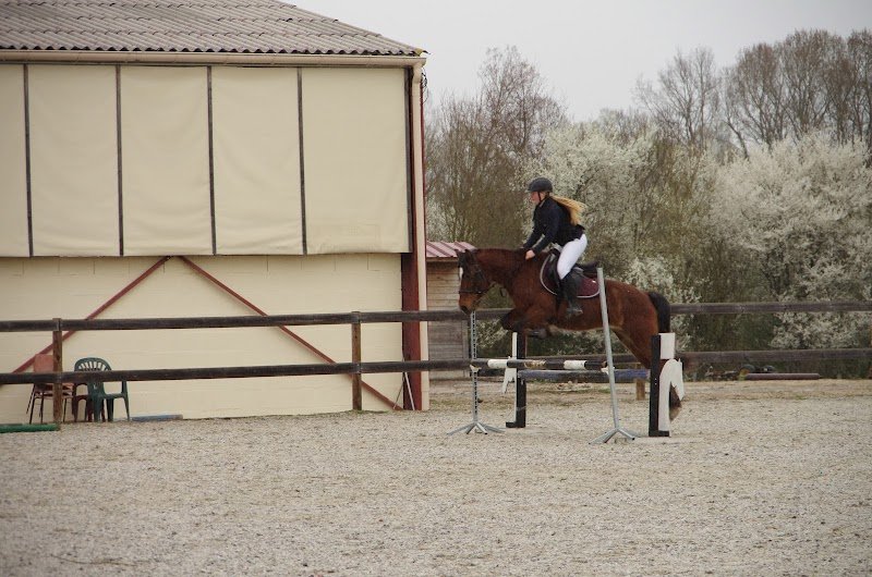 Écuries de la Violette - photo 3