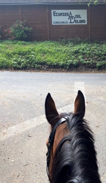Ecuries Axel Delord