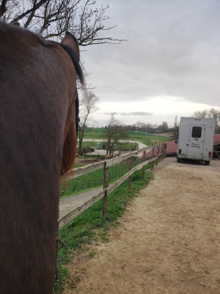 Écurie de l'Abbaye Laurie Auclair - photo 1