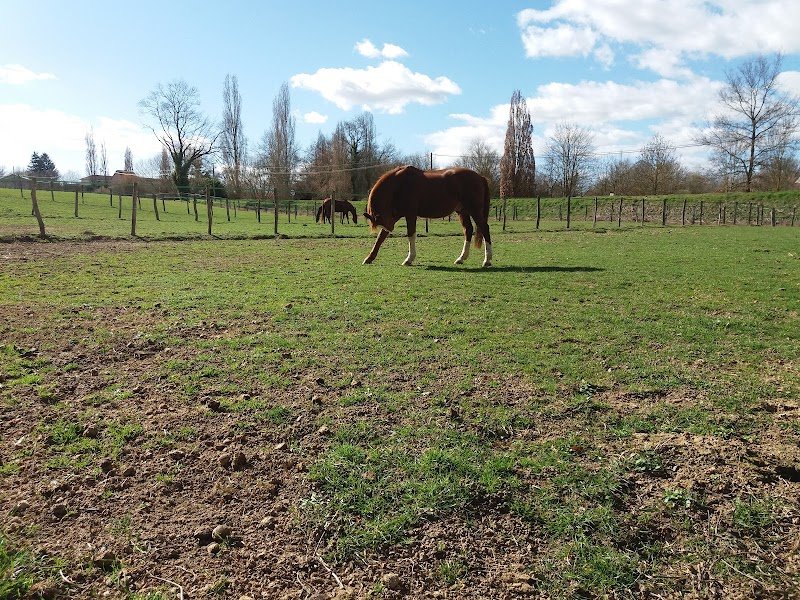 Écurie de l'Abbaye Laurie Auclair - photo 3