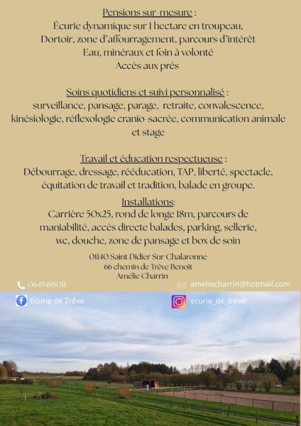 Ecurie de Treve - photo 1