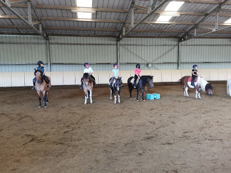 Les Cavaliers De Bordelan - photo 2