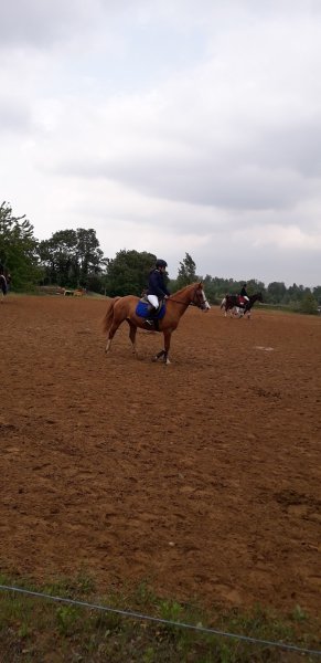 Les Cavaliers De Bordelan - photo 3