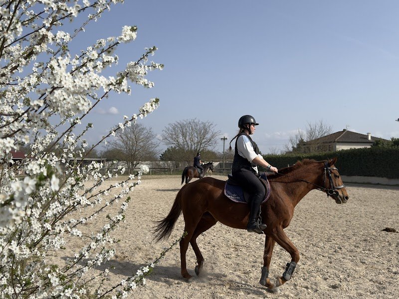 Écurie DC Équitation - photo 2