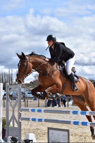 Écurie DC Équitation - photo 3