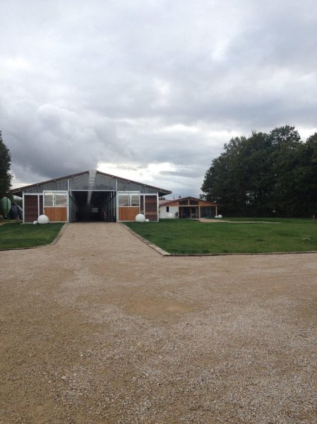 Haras de Fay - photo 3