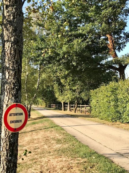 Les Ecuries de la Rionde - photo 1