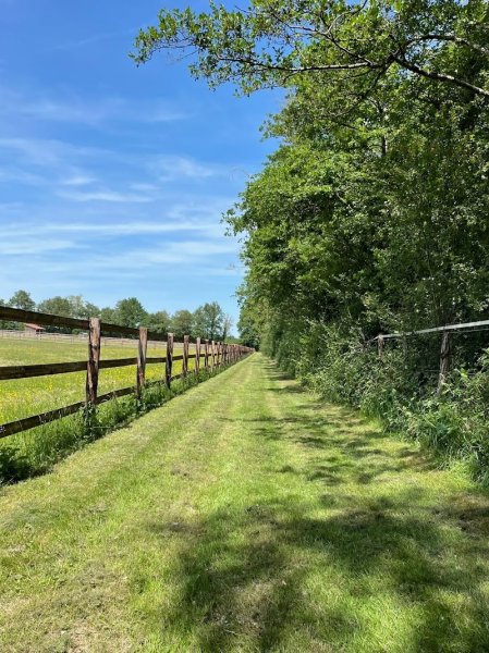 Les Ecuries de la Rionde - photo 2