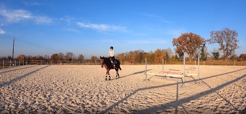 Ecuries du Grand Saphir - photo 3