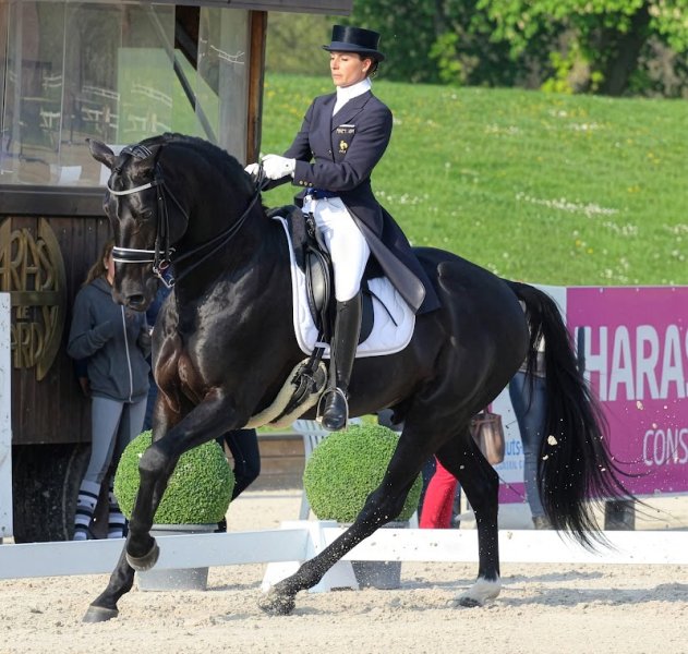 Julia & Hanna Chevanne - Ecurie de l'Arquebuse - photo 3