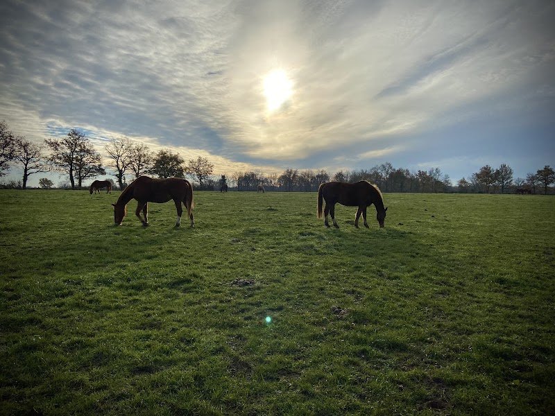 Ecuries Philippe Bernard - photo 2
