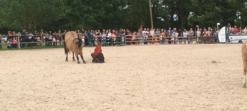 Les Cavaliers d’Epona - photo 3