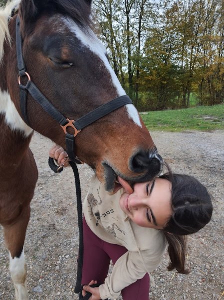 CENTRE EQUESTRE DE NEUVILLE LES DAMES - photo 2