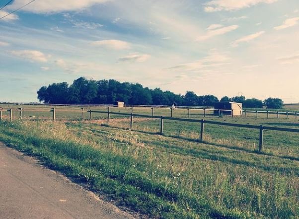 ECURIES VAN DYCK - photo 3