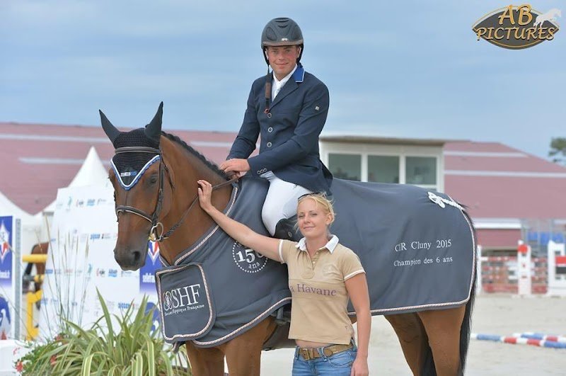 BF-Horse Sport - photo 3