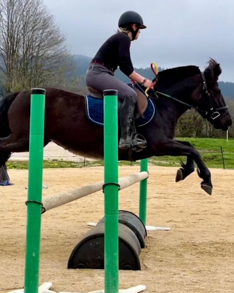 domaine équestre de la maurinière - photo 1