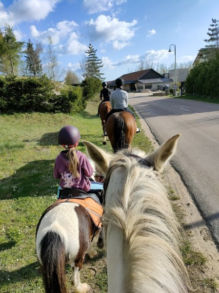 domaine équestre de la maurinière - photo 2