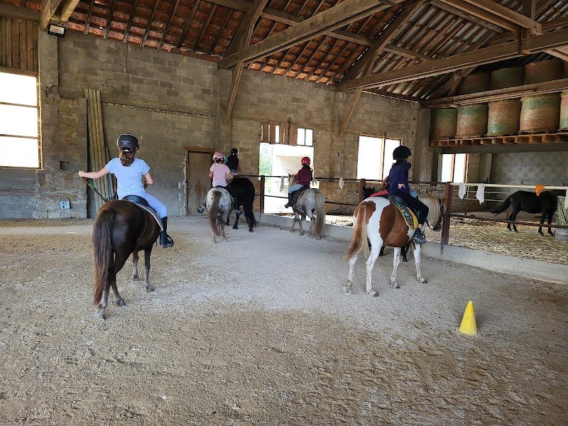 domaine équestre de la maurinière - photo 3