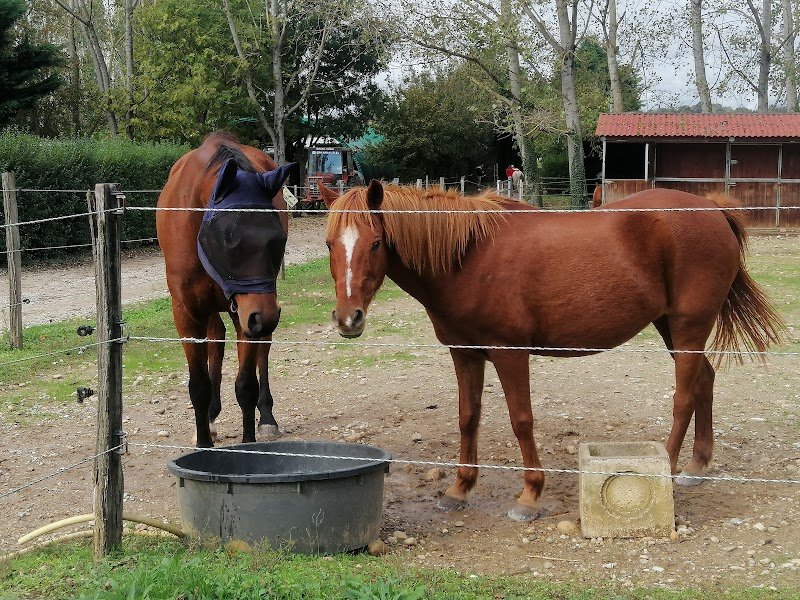 Les Cavaliers En Herbe - photo 3