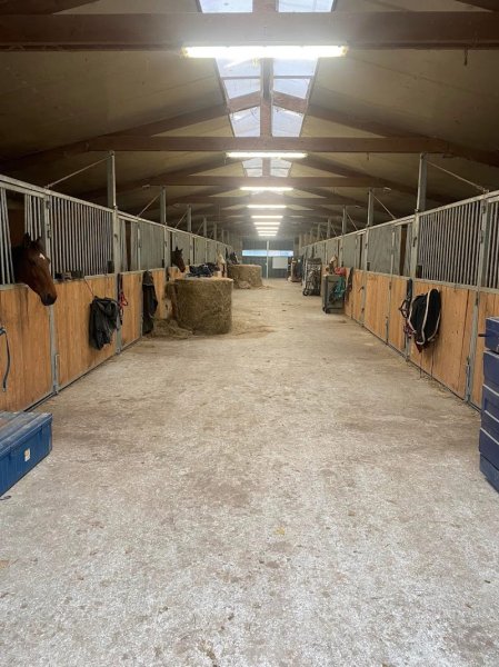 Écurie des Berardans - photo 2