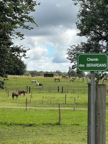 Écurie des Berardans - photo 3