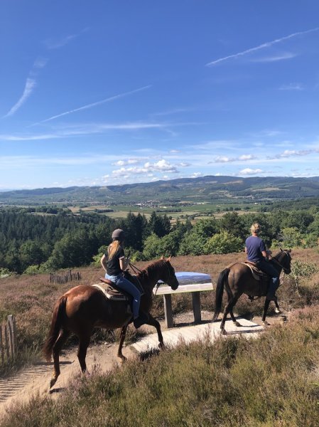 Ecuries Pierre-yves BOURDON - photo 3