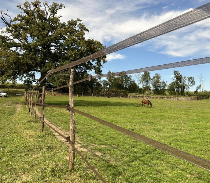 Ecuries de Montrin - photo 2