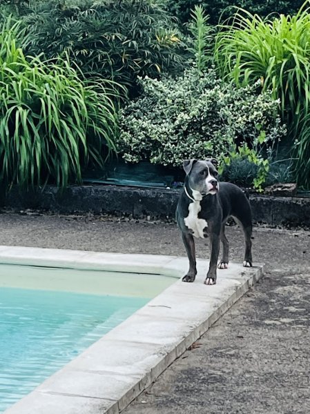 La Pension de l'Olivier - photo 1